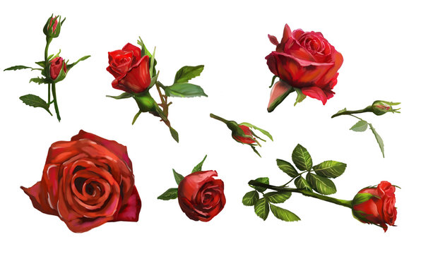 Fototapeta Decorations of red roses blooms