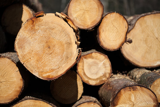 Baumaterial Holz