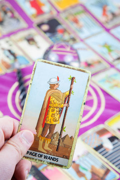 Page of Wands, Tarot card, Major Arcana
