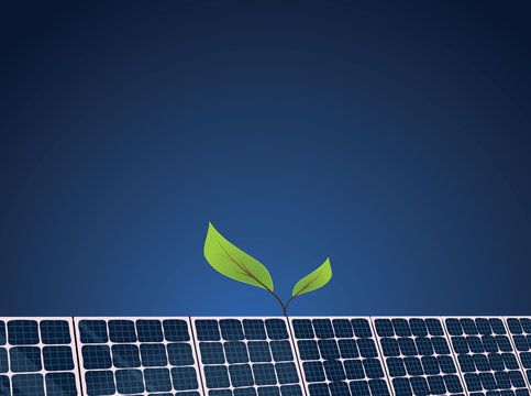 Solar Growth _ front