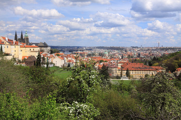 Fototapeta na wymiar Spring Prague gothic Castle with the green Nature
