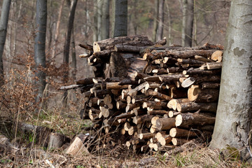 aufgestapelter brennholzstapel