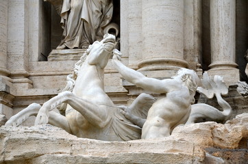 Cavallo agitato, Fontana di Trevi, Roma