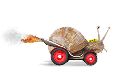 Speedy snail like car racer. Concept of speed and success - obrazy, fototapety, plakaty