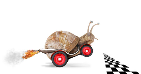 Speedy snail like car racer. Concept of speed and success