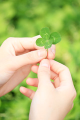 四つ葉のクローバー