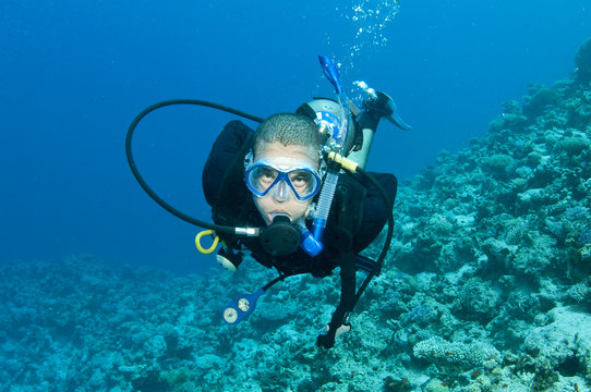 scuba diver on a coral reef