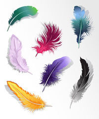 Obraz premium Set of 7 colorful feathers.