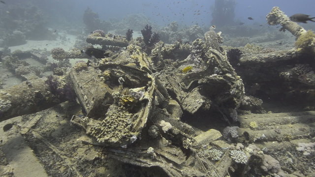 High angle view of Wreckage from a shipwreck