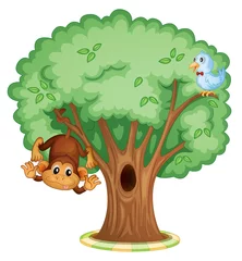 Papier Peint photo autocollant Animaux de la forêt Singe dans un arbre