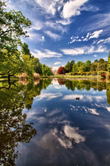 Obraz premium HDR....Parco Sempione Milano