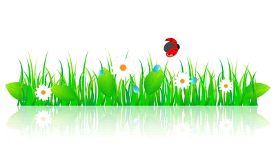 Afwasbaar Fotobehang Lieveheersbeestjes Mooie groene lente illustratie