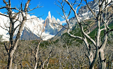 Nature landscape with Cerro Torre in Patagonia, South America