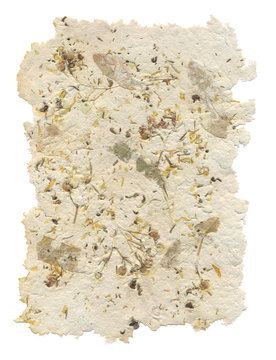Handmade Paper With Leaves And Flowers Inside