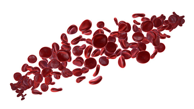 Rote Blutk&ouml;rperchen