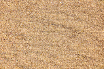 sand texture