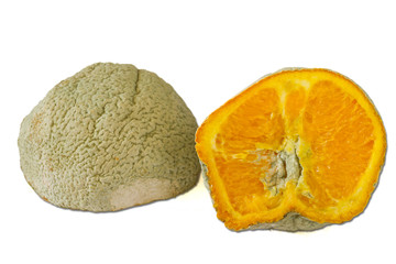 Rotten orange
