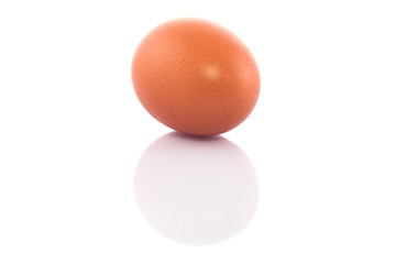 egg