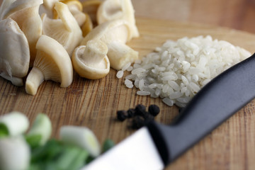 vegetarian food preparing