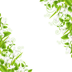 Border With Snowdrops