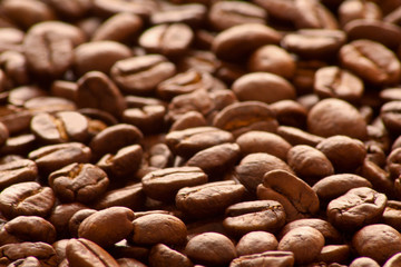 Kaffeebohnen