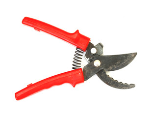 Red garden pruner, isolated on a white background
