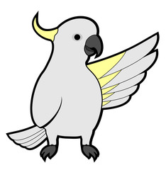 Cockatoo hello