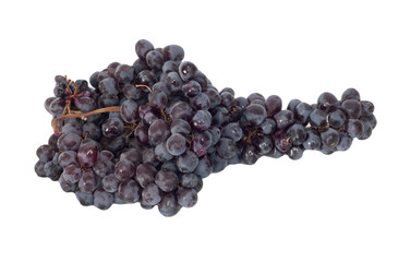 Isolated black Grapes whit reflection