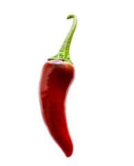Red hot chili pepper