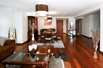 Interior design serires: living room and dining room