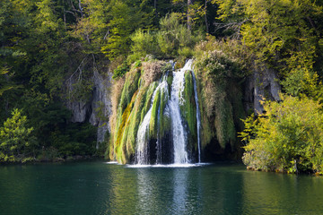 Fototapeta na wymiar kaskady wodne ponad mchu i roślin w Plitvice, Chorwacja