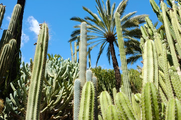 Botanical garden