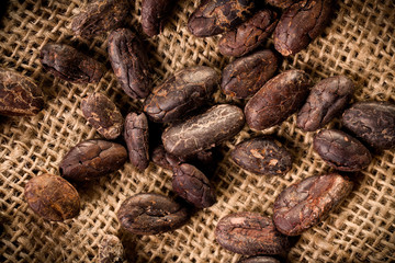 cocoa beans on burlap background