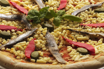 Pizza preconfezionata Pre-packaged pizza