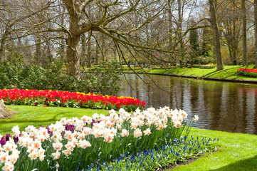 Obraz premium Piękne wiosenne kwiaty w parku Keukenhof w Holandii