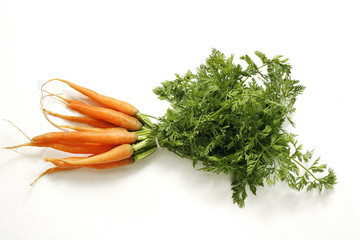 Fresh young bunch of carrots with green leafy stems on white