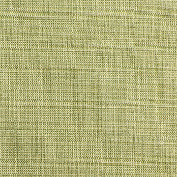 Green Linen Canvas Texture