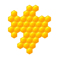 Honeycomb, isolated on the white
