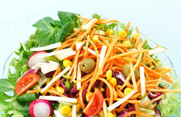 Insalata di verdure crude
