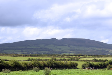 view of the devils bit