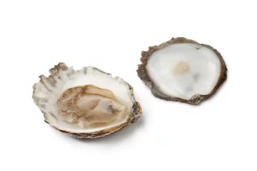 Photo sur Plexiglas Crustacés Open European flat oyster