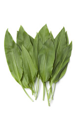 Fresh Ramson leaves