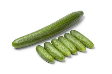 Fresh mini cucumbers