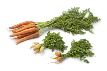 Fresh large and mini carrots