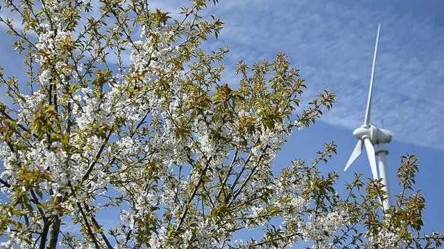 Windrad im Fr&uuml;hling