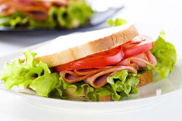 Fresh Sandwich