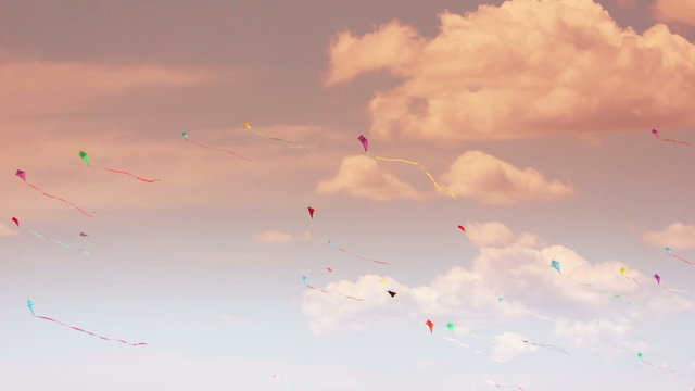 kite 02b