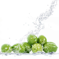 olive splash