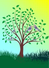 Papier Peint photo Lavable Oiseaux, abeilles arbre vert au printemps avec des oiseaux pour votre conception