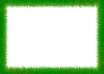 Fresh green grass photo frame isolated on white background